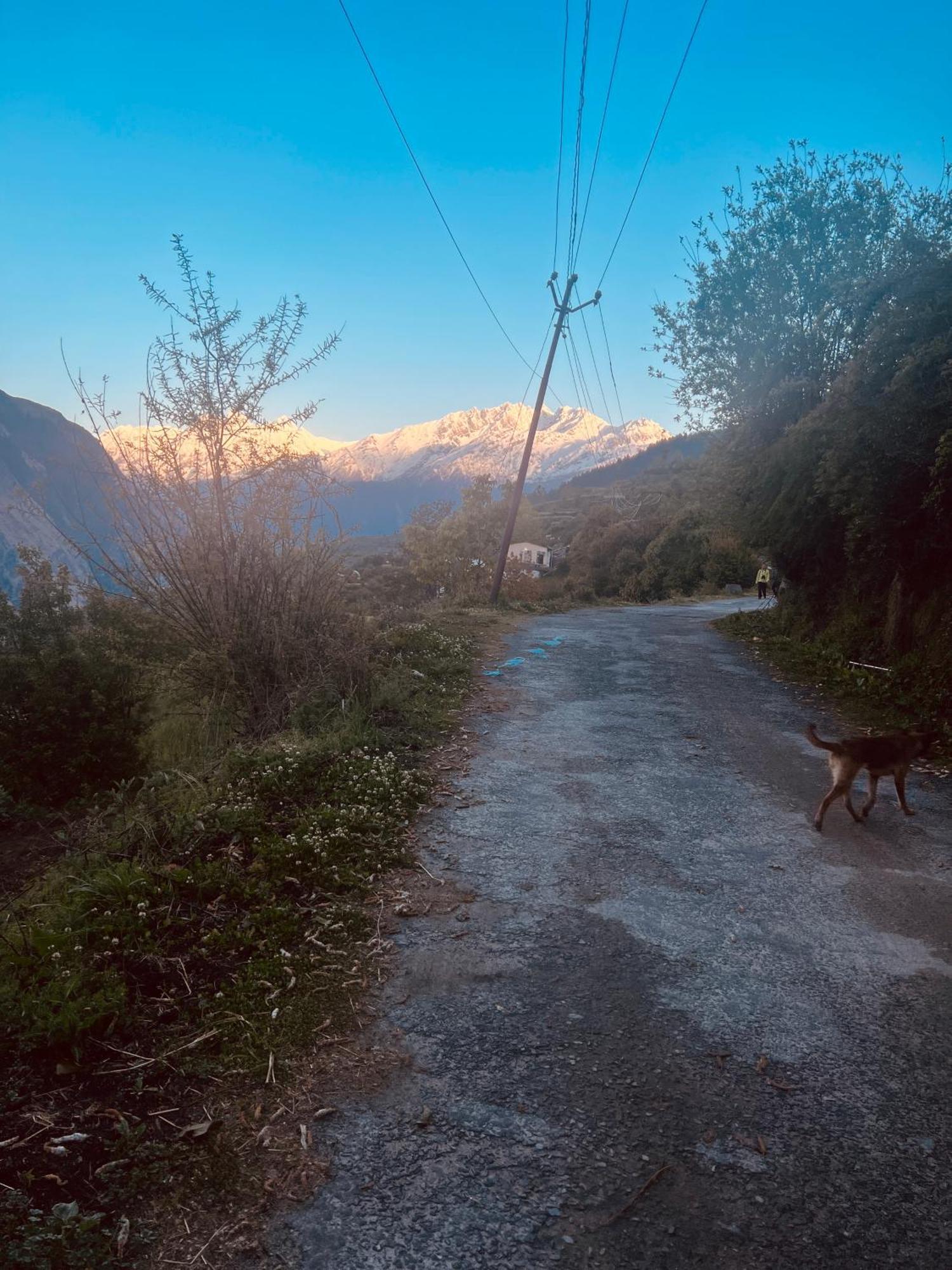 Faraway Cottages, Auli Joshīmath Екстериор снимка