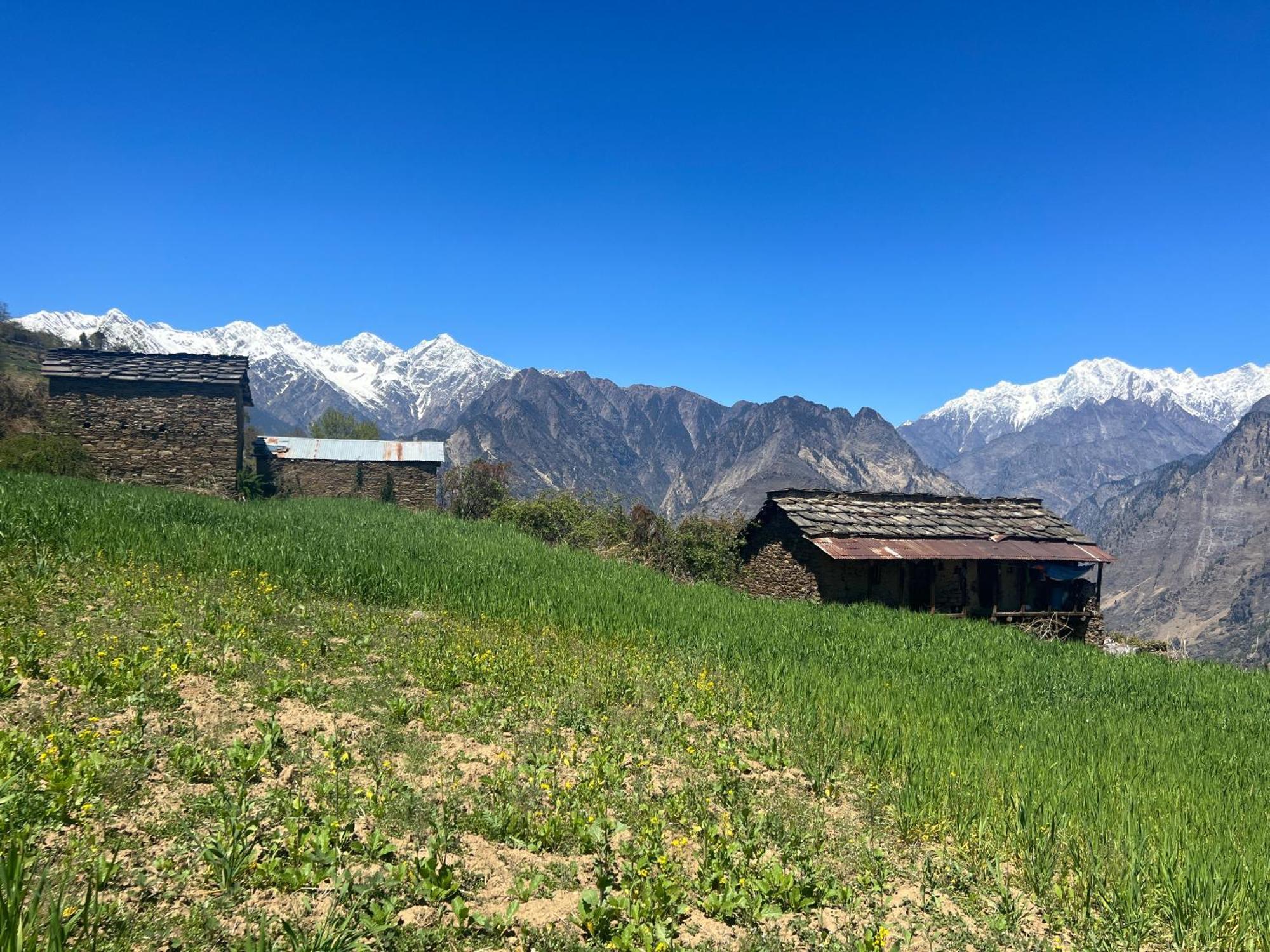 Faraway Cottages, Auli Joshīmath Екстериор снимка