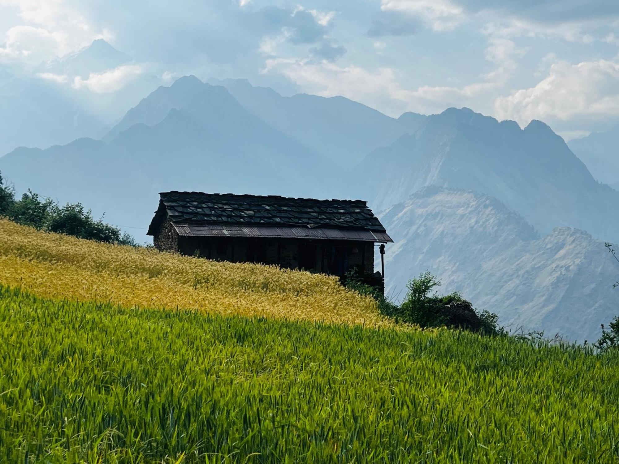 Faraway Cottages, Auli Joshīmath Екстериор снимка